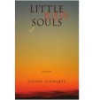 Little Raw Souls: Stories